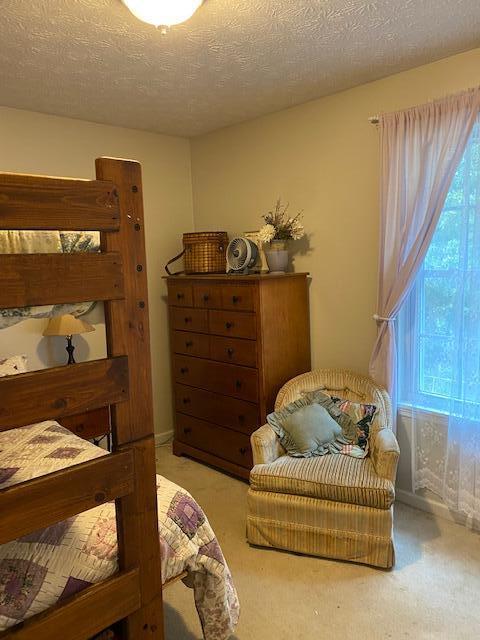 7836 Signal Station Road Knoxville, TN 37920 - Photo 16 of 25 IMG_2249