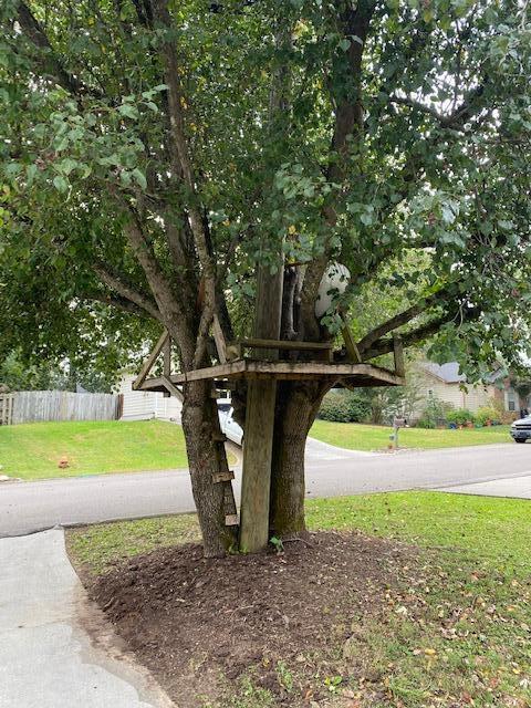 7836 Signal Station Road Knoxville, TN 37920 - Photo 5 of 25 IMG_2230