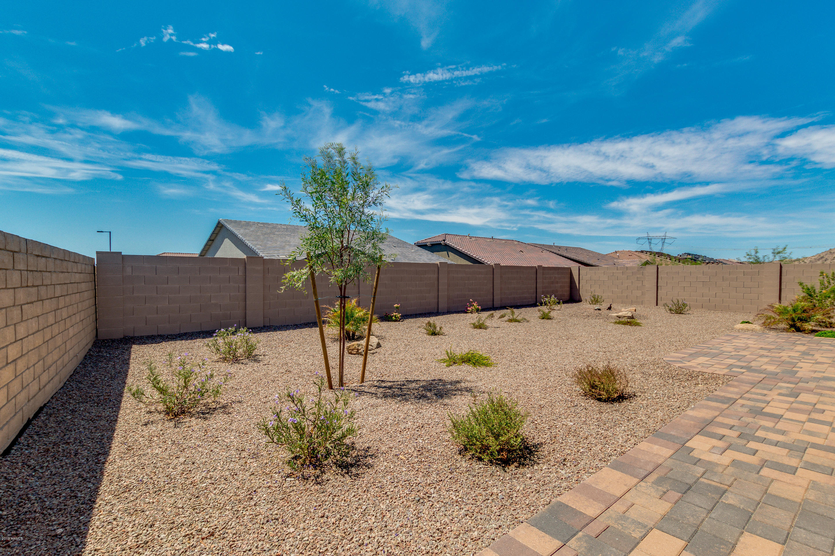 18503 West Desert Trumpet Road Goodyear, AZ 85338 - Photo 40 of 46 44-Desert Trumpet