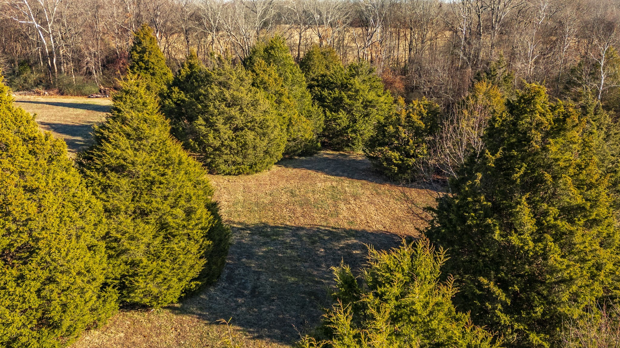 5563 Stacy Springs Road Springfield, TN 37172 - Photo 70 of 73