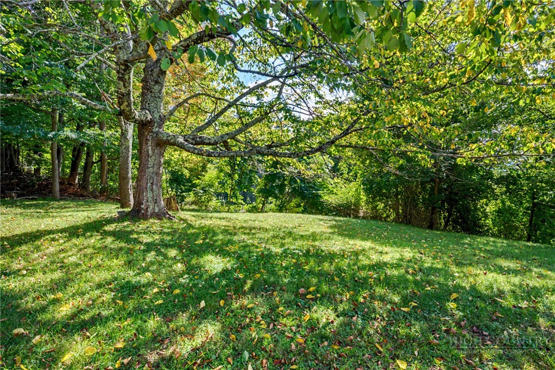 632 Queen Street Boone, NC 28607 - Photo 35 of 42 Gallery Image 35