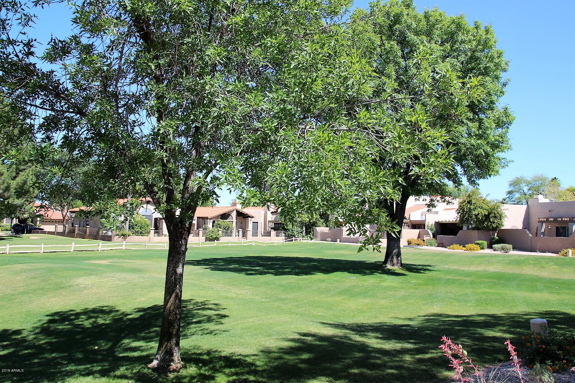 11615 North 40th Way Phoenix, AZ 85028 - Photo 3 of 33 Another View from the home