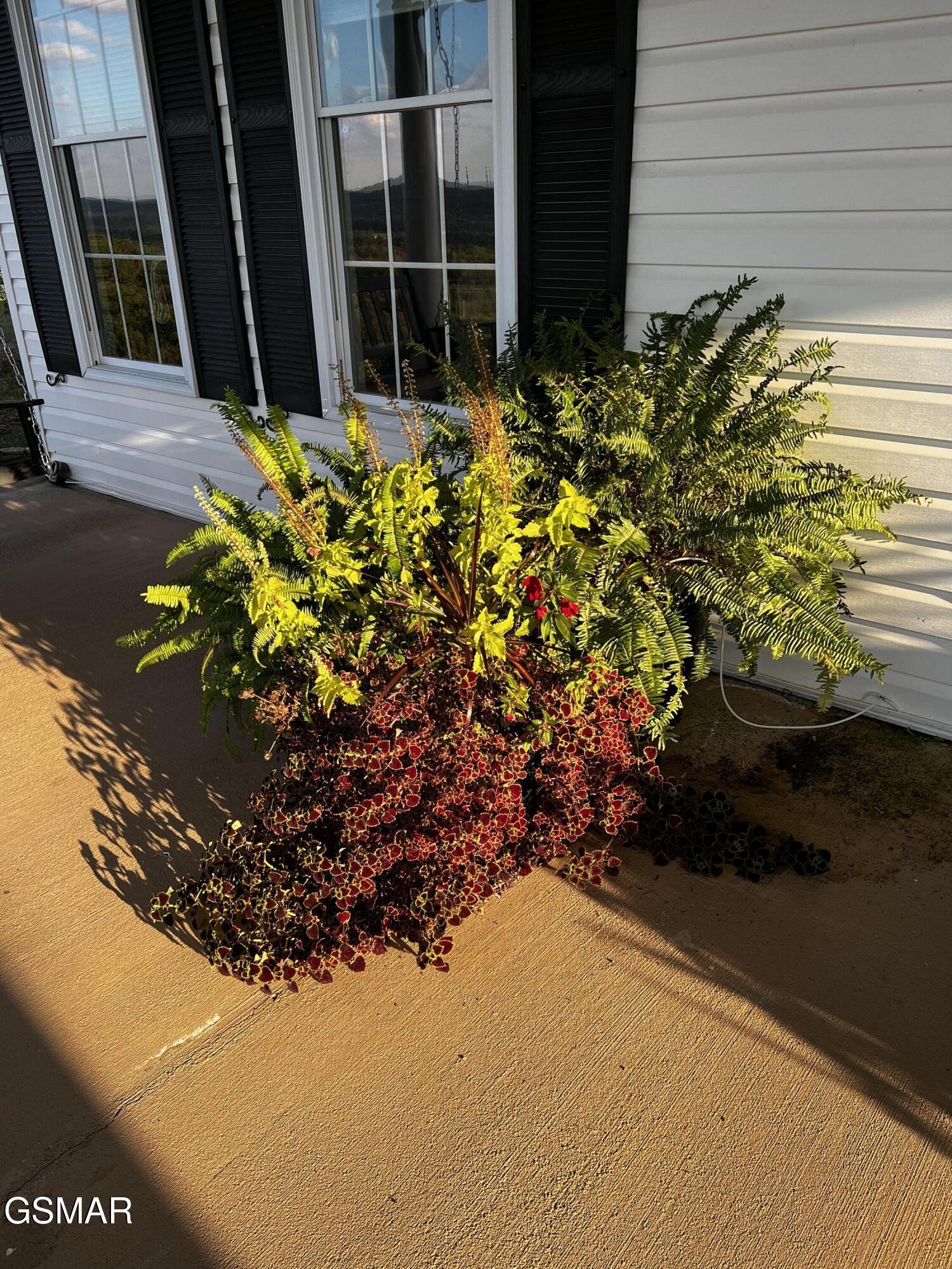 374 Doane Road New Market, TN 37820 - Photo 43 of 83 Gallery Image 43