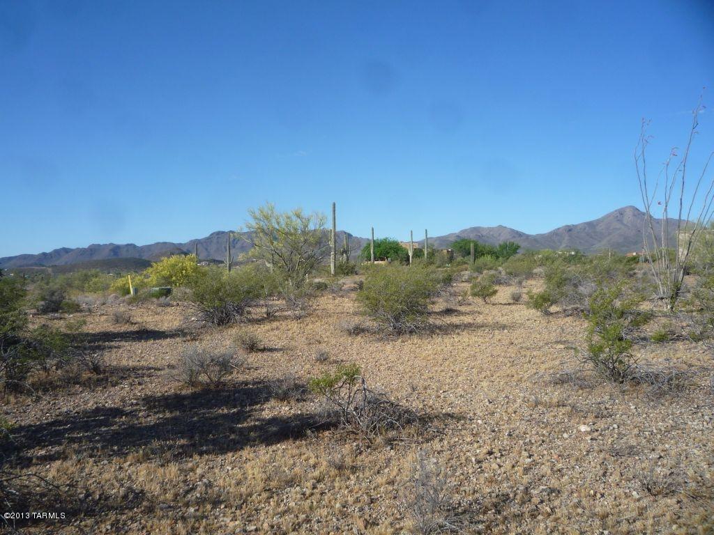 5805 North Abington Road, Unit 117 Tucson, AZ 85743 - Photo 7 of 15