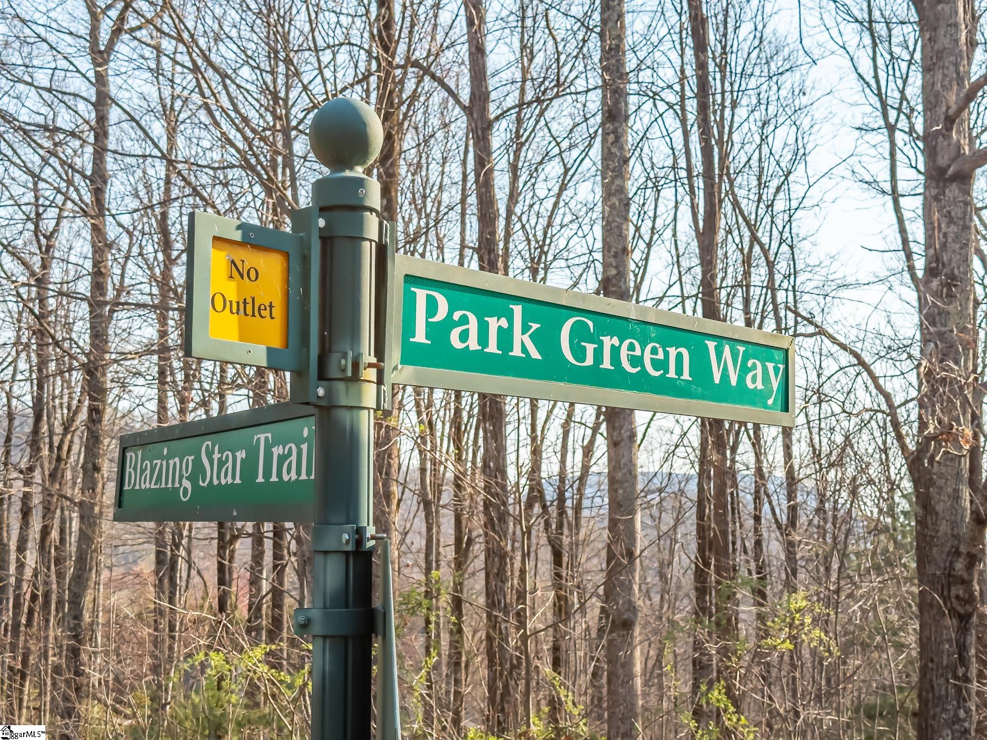 2 Park Green Way Landrum, SC 29356 - Photo 5 of 23