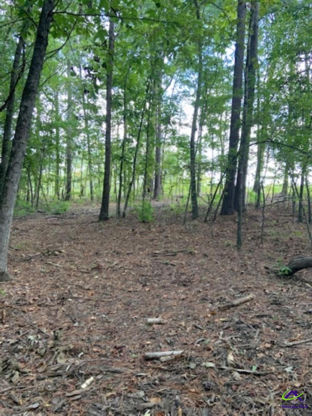 Grovania Road Elko, GA 31025 - Photo 22 of 23