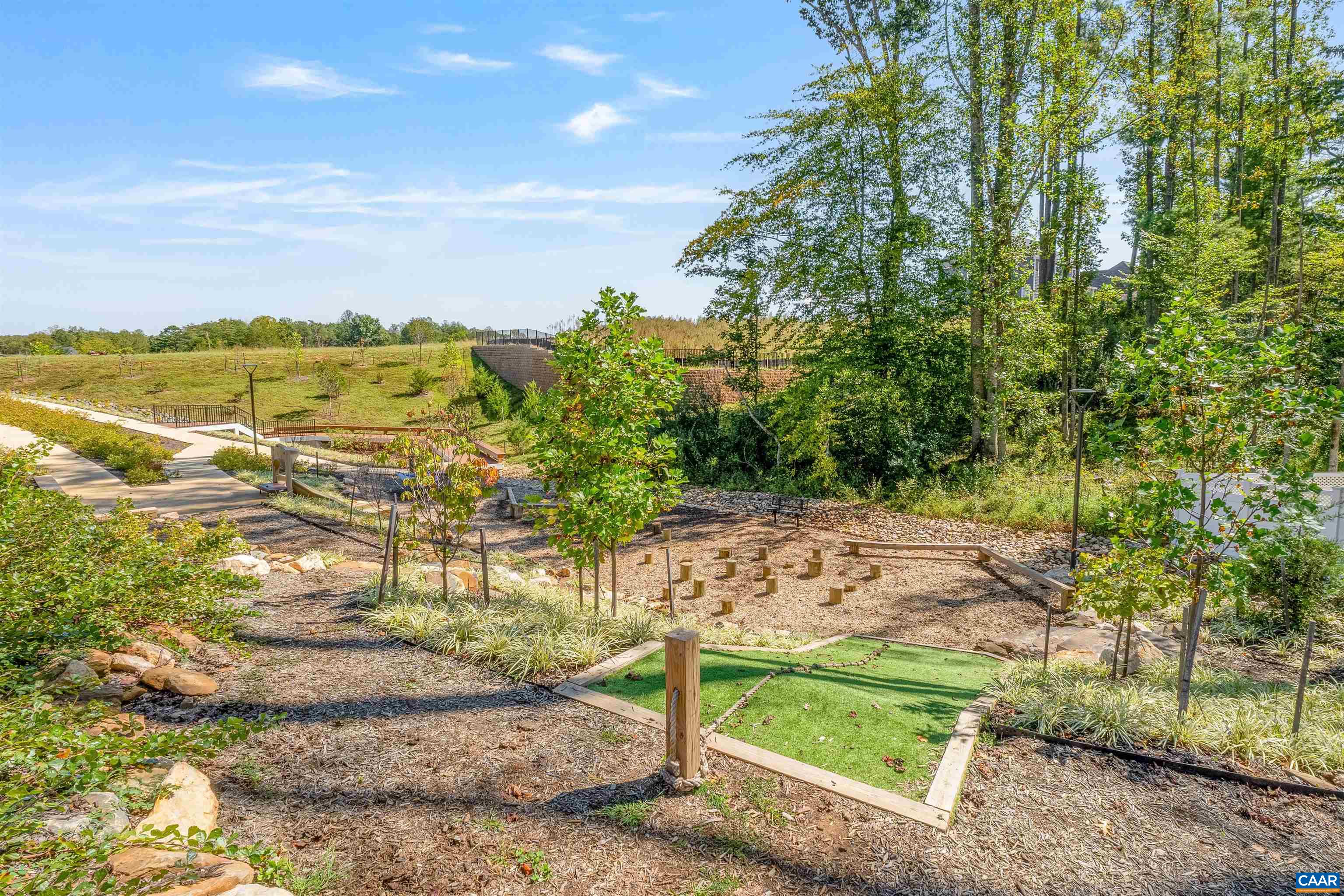 3712 Thicket Run Place Charlottesville, VA 22911 - Photo 67 of 73 a view of a yard with an trees