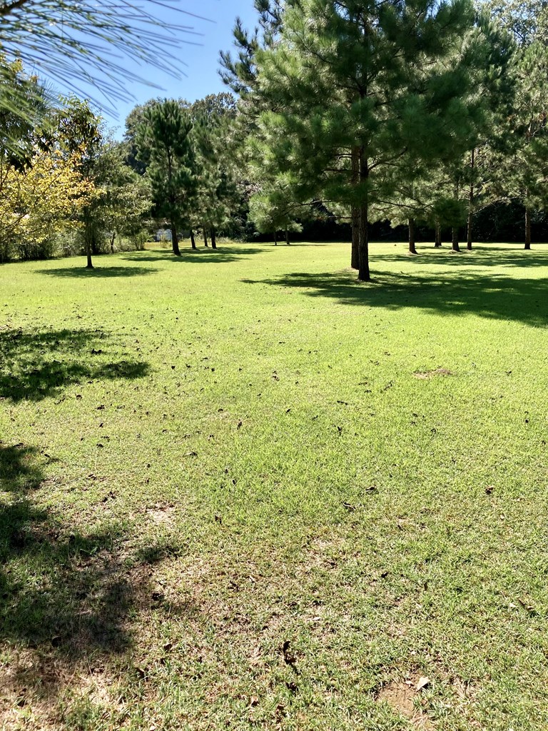 77 Crawford Road Cowarts, AL 36321 - Photo 48 of 60