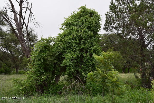 Umpire Ranch Road Elgin, AZ 85611 - Photo 15 of 27