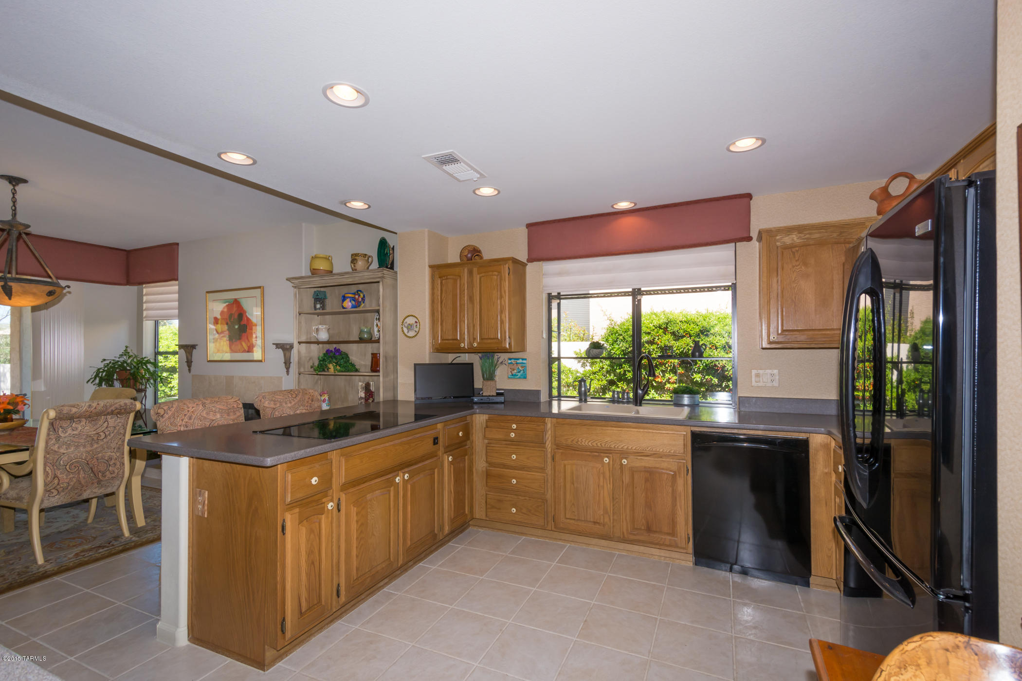 37482 South Ridgeview Boulevard Tucson, AZ 85739 - Photo 5 of 43 Gallery Image 5