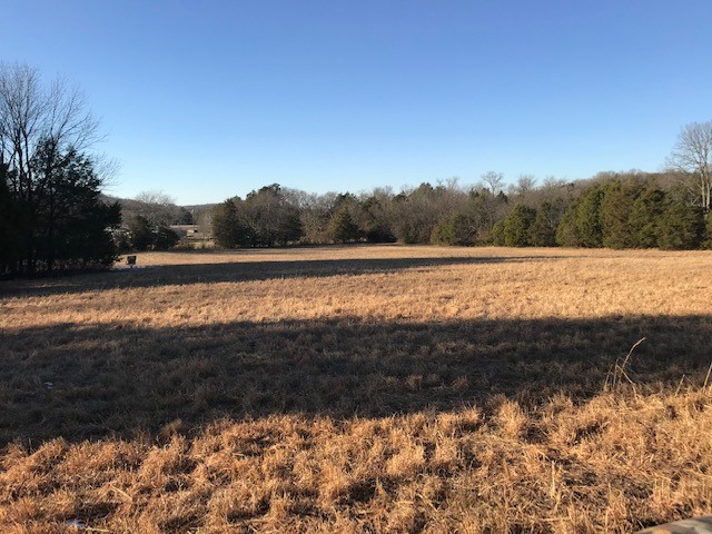 115 Centerville Road Lebanon, TN 37087 - Photo 1 of 15 a view of an ocean and beach
