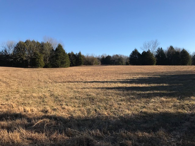 115 Centerville Road Lebanon, TN 37087 - Photo 11 of 15 a view of an ocean