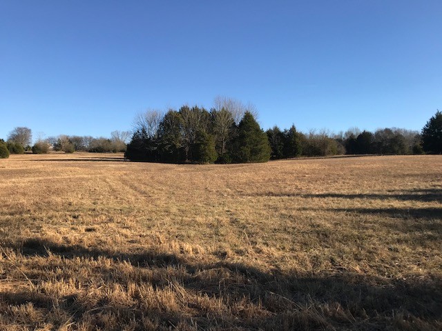 115 Centerville Road Lebanon, TN 37087 - Photo 13 of 15 a view of an ocean beach