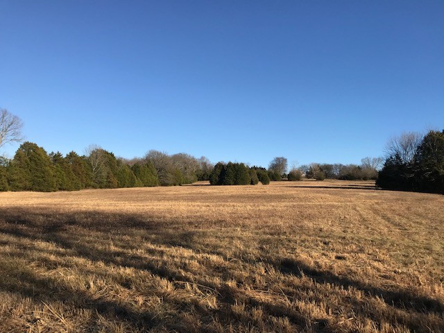 115 Centerville Road Lebanon, TN 37087 - Photo 14 of 15 a view of lake and mountain