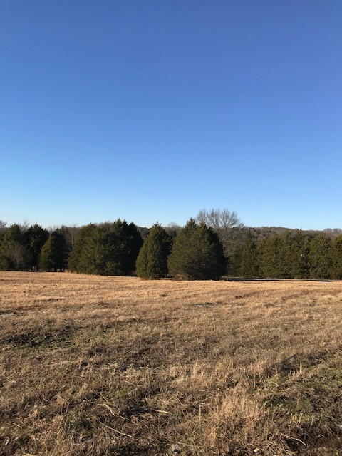 115 Centerville Road Lebanon, TN 37087 - Photo 2 of 15 a view of ocean with beach
