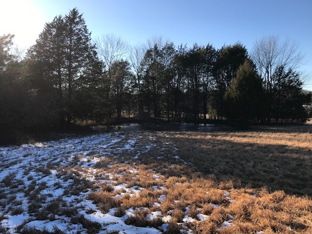 115 Centerville Road Lebanon, TN 37087 - Photo 6 of 15 a view of outdoor space with trees