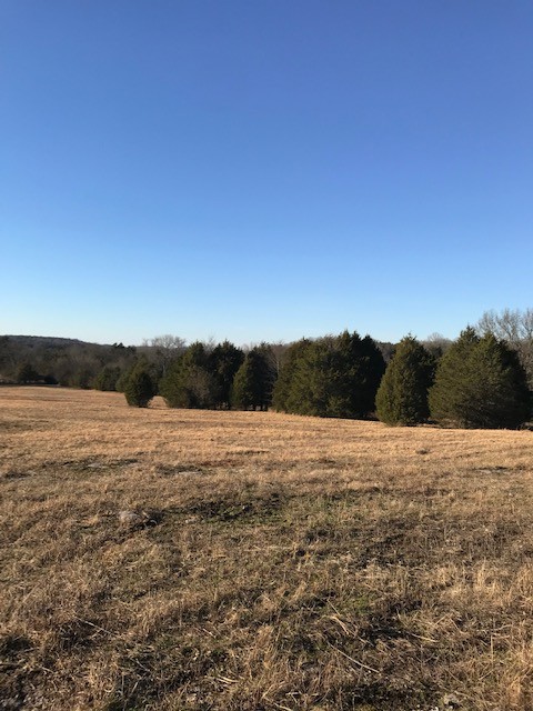 115 Centerville Road Lebanon, TN 37087 - Photo 7 of 15 a view of an ocean