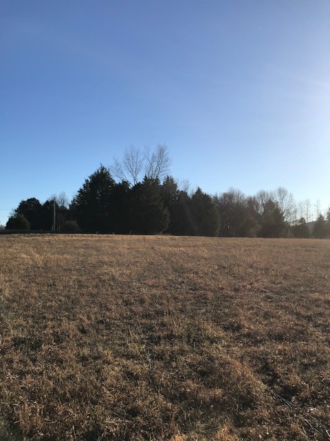 115 Centerville Road Lebanon, TN 37087 - Photo 9 of 15 a view of lake and mountain