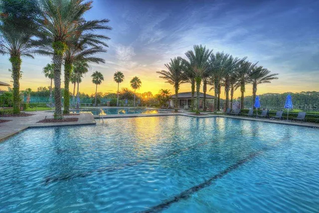 a view of swimming pool with a yard and palm trees