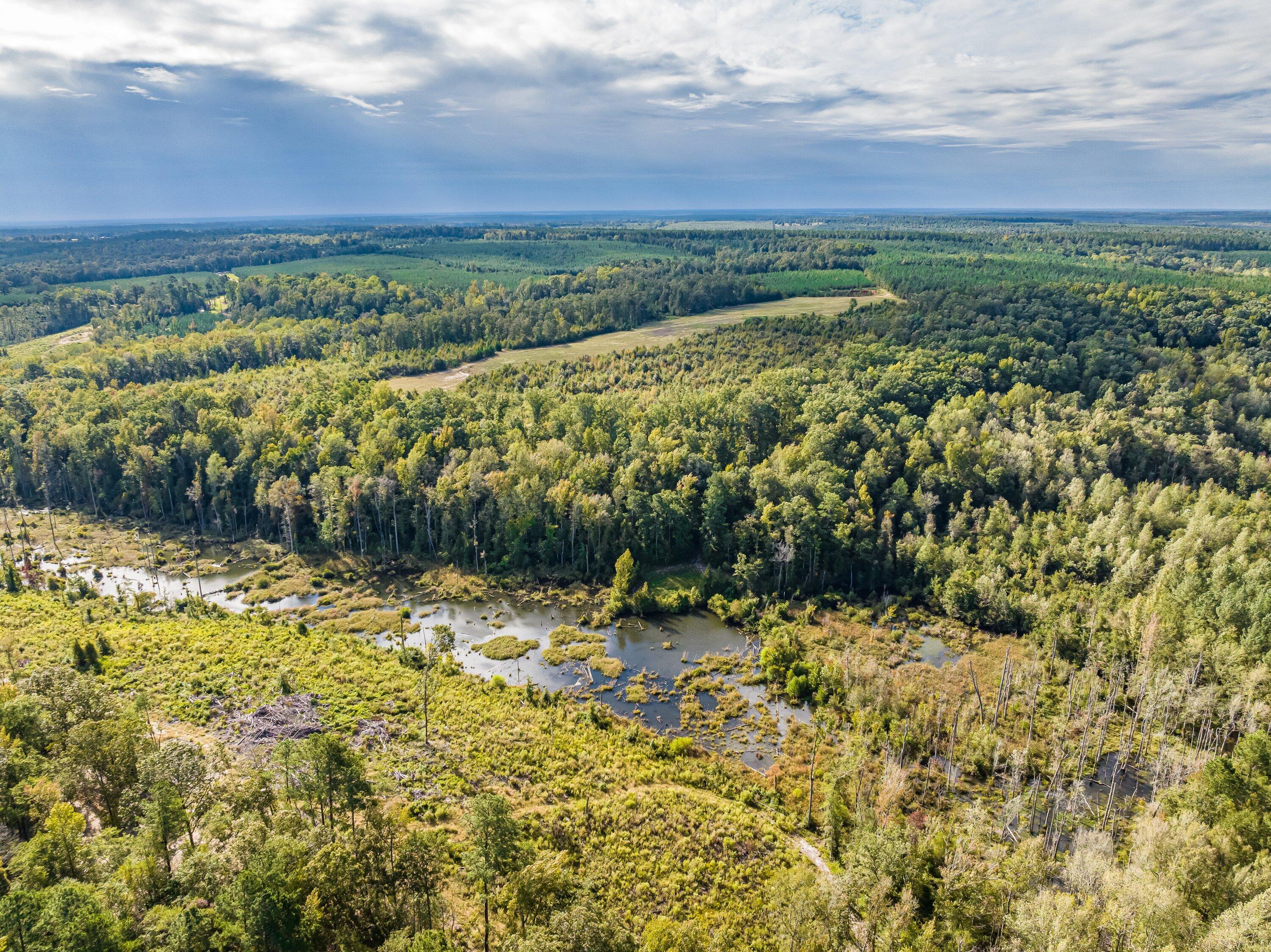 3275 Hadden Pond Road Avera, GA 30803 - Photo 64 of 69 DJI_0197-HDR