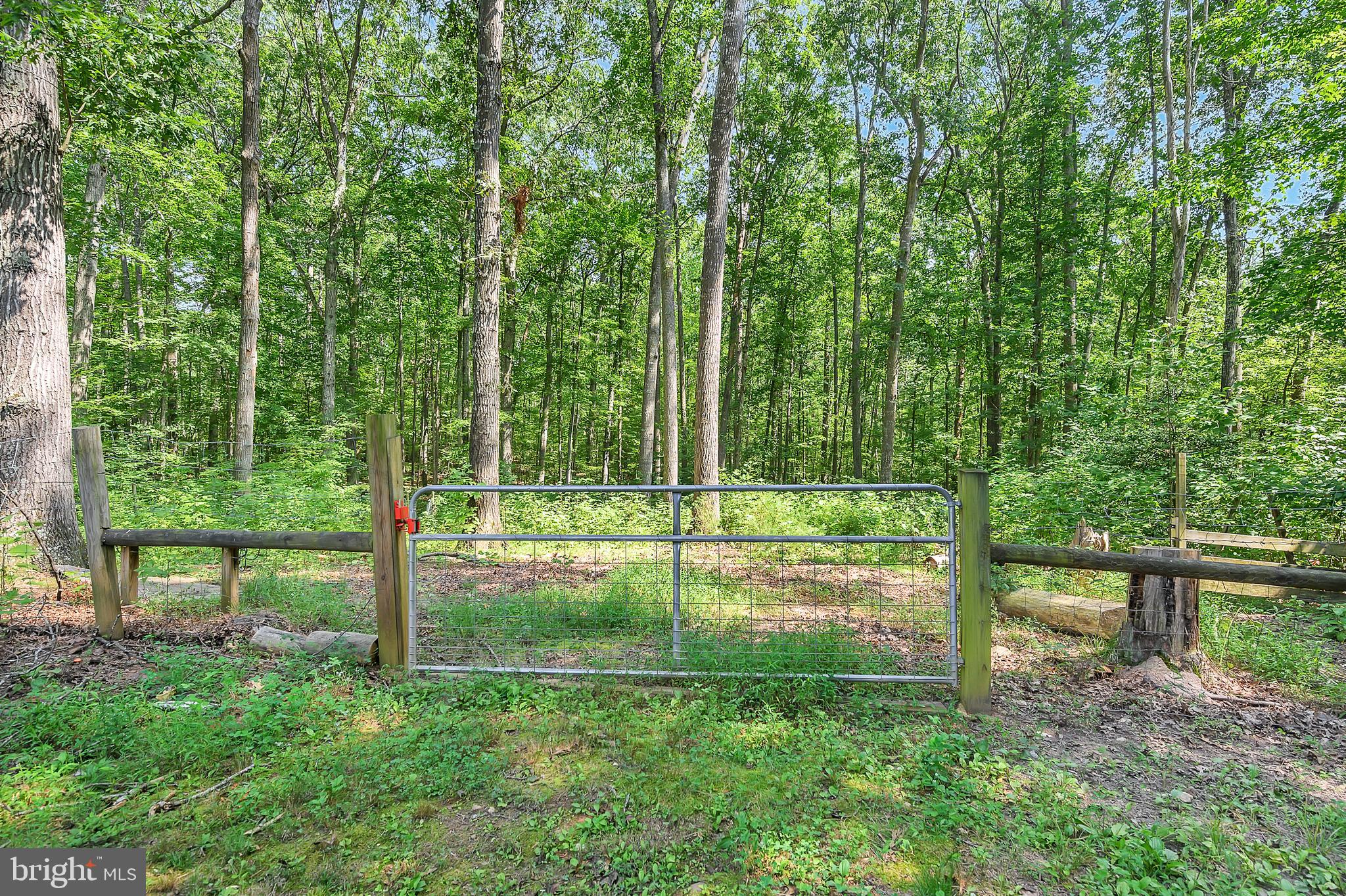 129 Richards Ferry Road Fredericksburg, VA 22406 - Photo 70 of 71