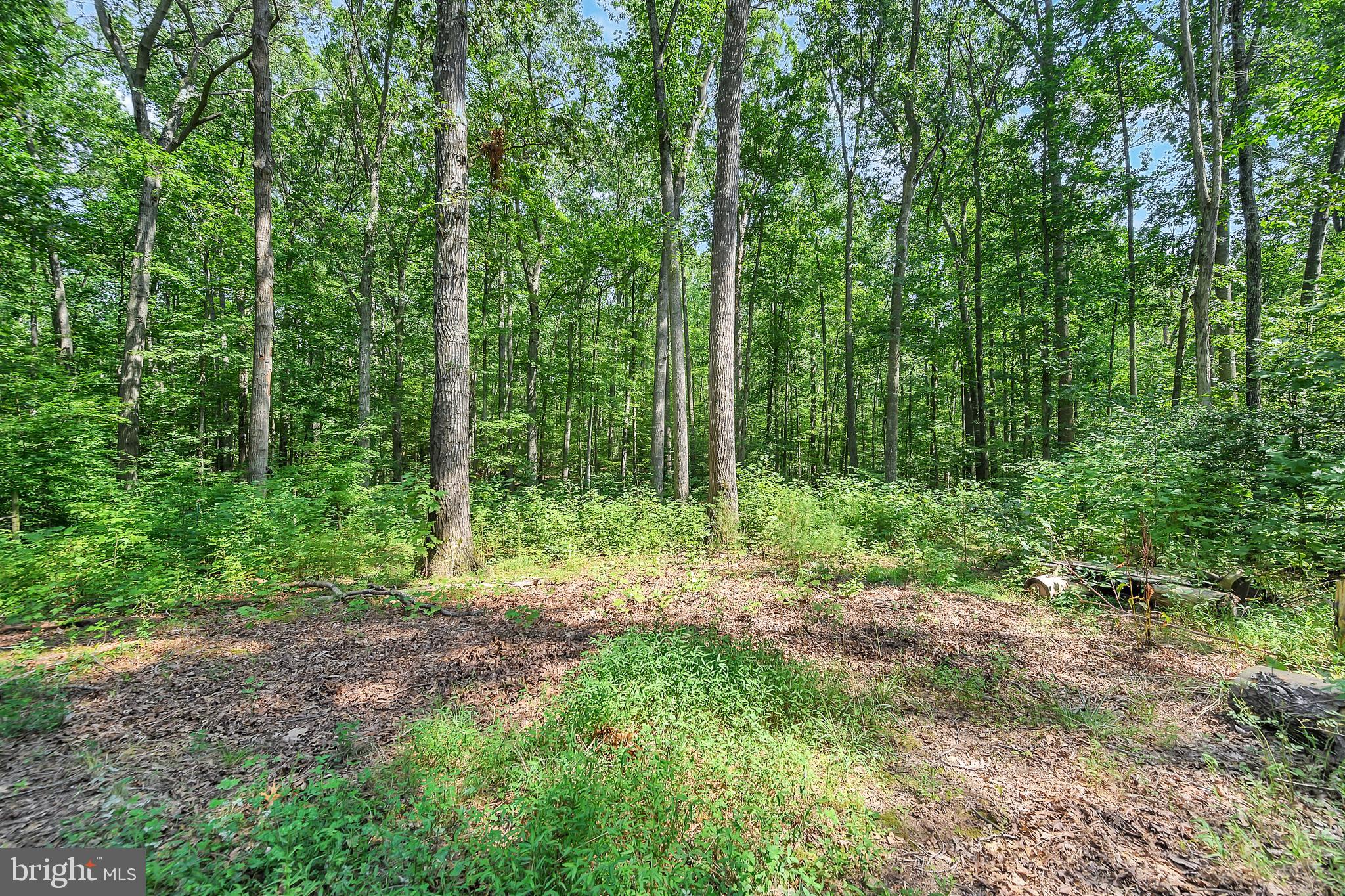 129 Richards Ferry Road Fredericksburg, VA 22406 - Photo 71 of 71