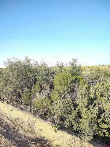 a view of a large yard with lots of green space