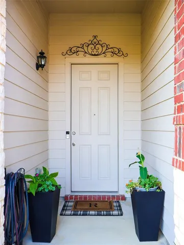 a room with a potted plant