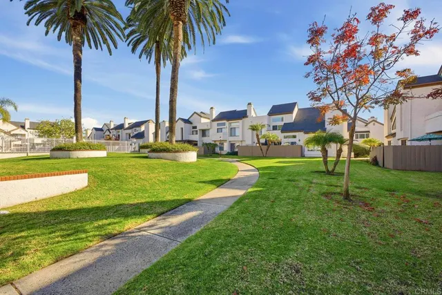 a view of a park with palm trees