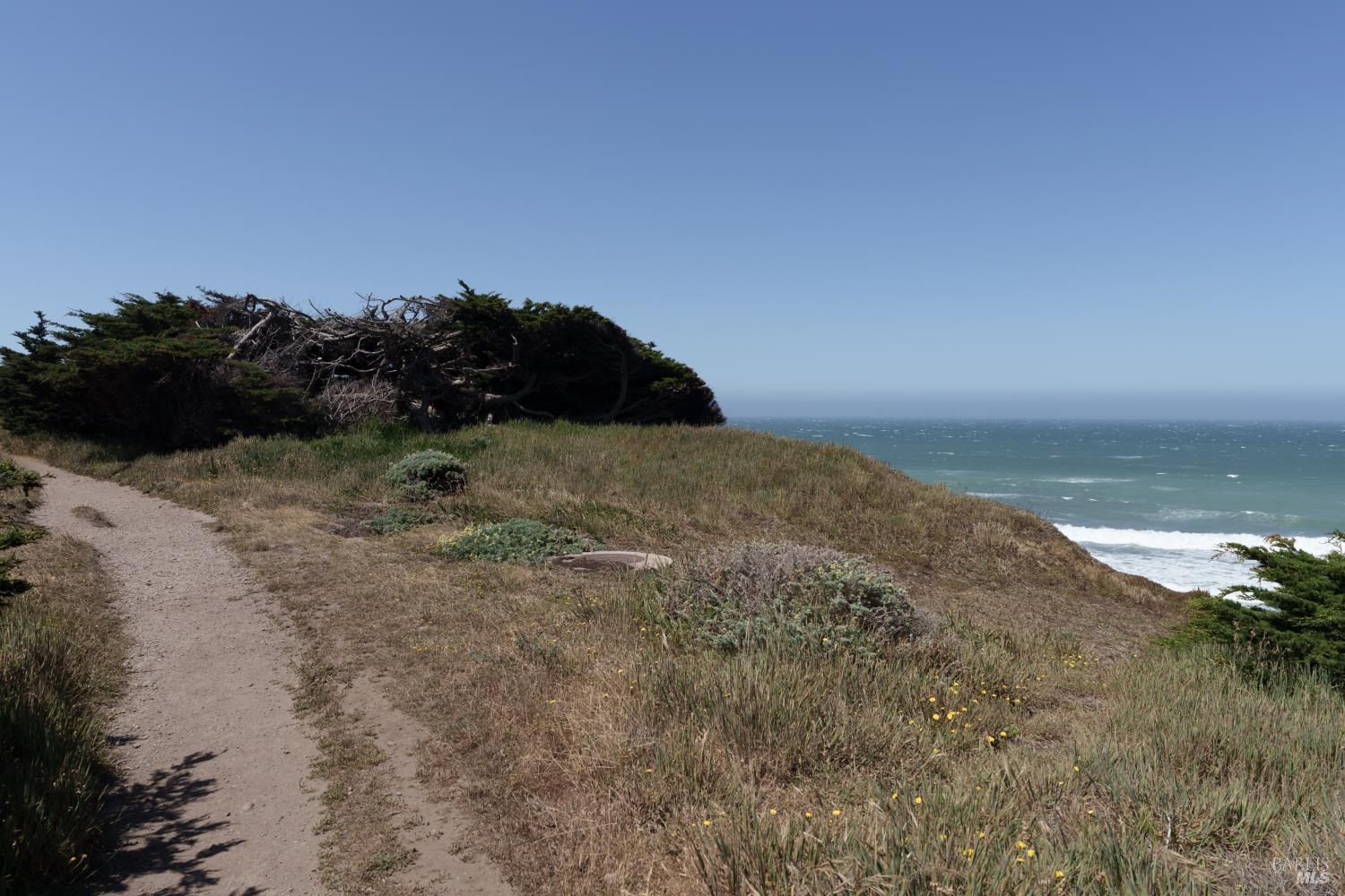 256 Ballast Road The Sea Ranch, CA 95497 - Photo 60 of 66