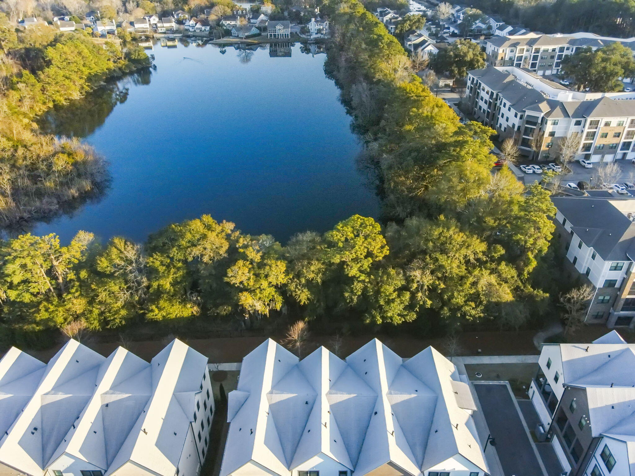 1617 Florentia Street Mount Pleasant, SC 29464 - Photo 33 of 35 6-web-or-mls-DJI_0339