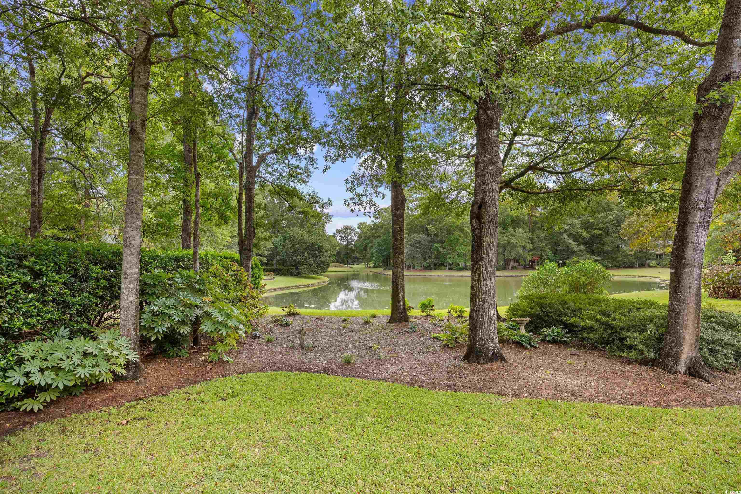 4527 Carriage Run Circle Murrells Inlet, SC 29576 - Photo 8 of 40 Gallery Image 8