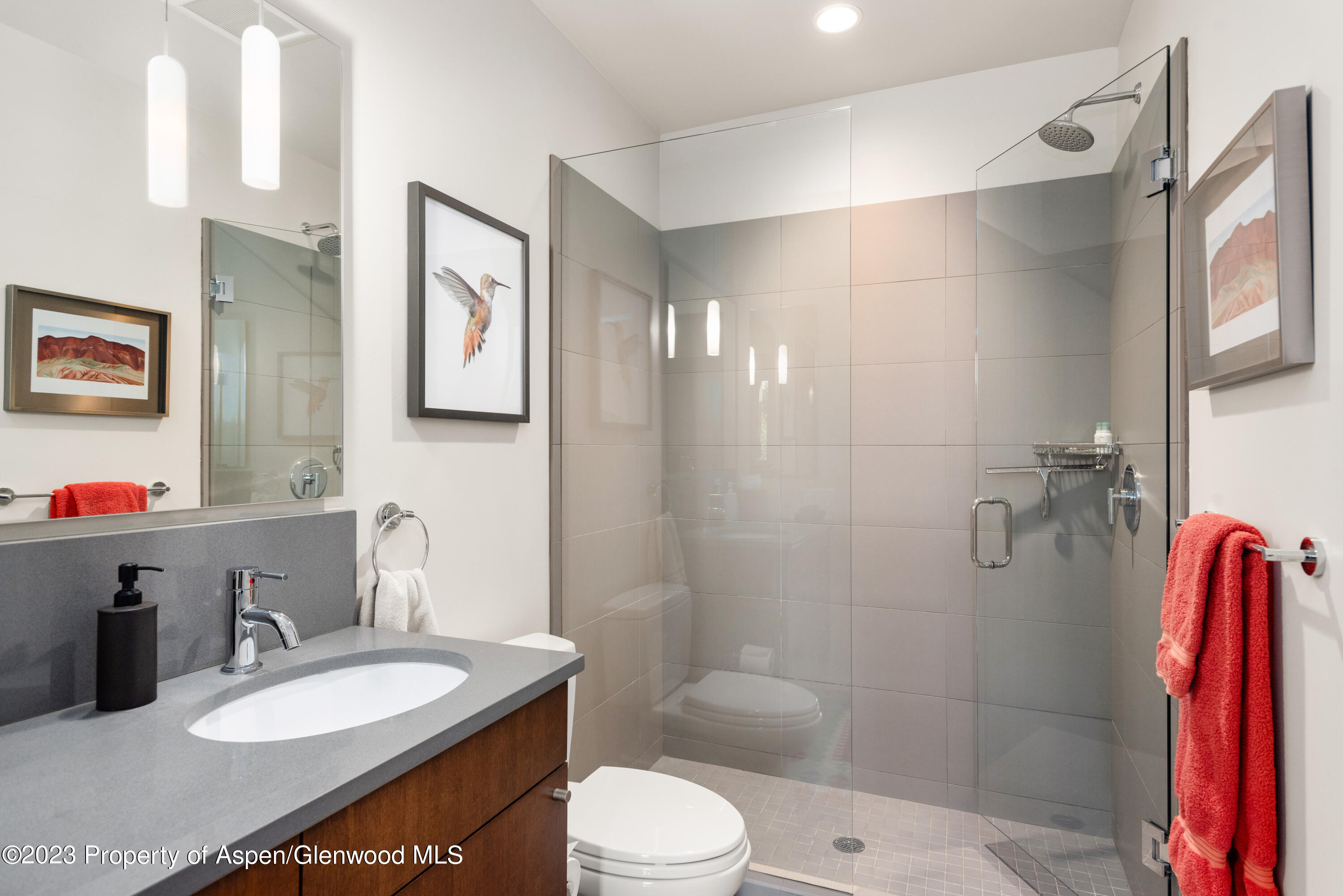 202 Evans Road, Unit 201 Basalt, CO 81621 - Photo 15 of 22 202EvansRdUnit201_HiRes_230725005