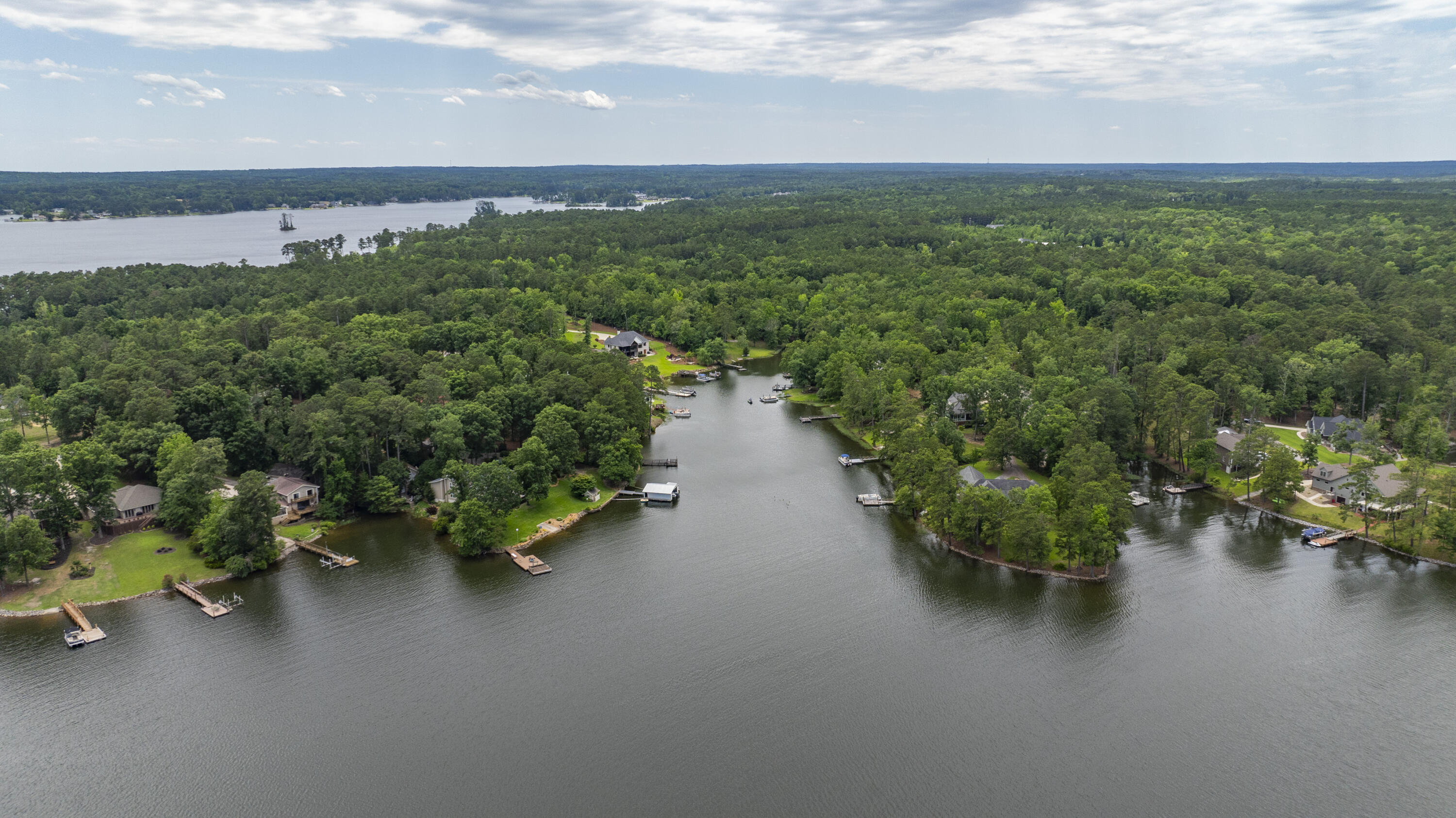 1239 Shull Island Road Gilbert, SC 29054 - Photo 36 of 52