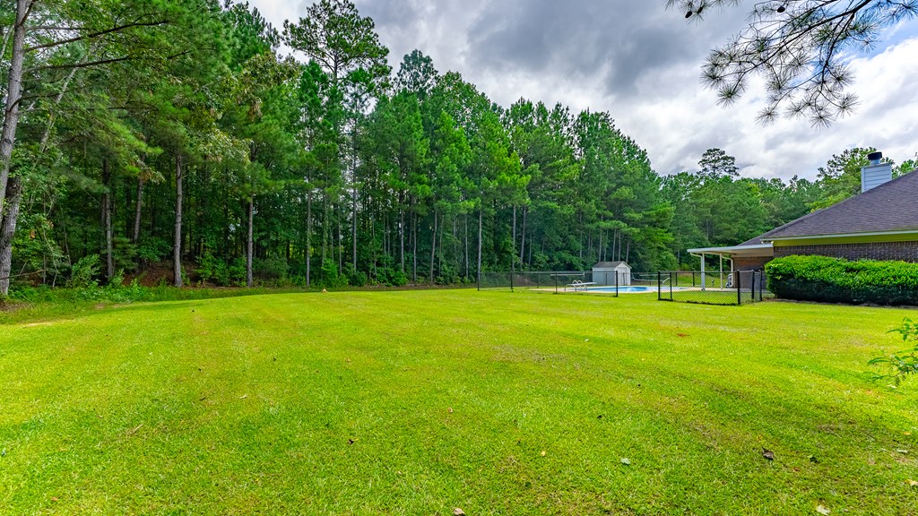285 Richardson Road Fortson, GA 31808 - Photo 38 of 44 Gallery Image 38