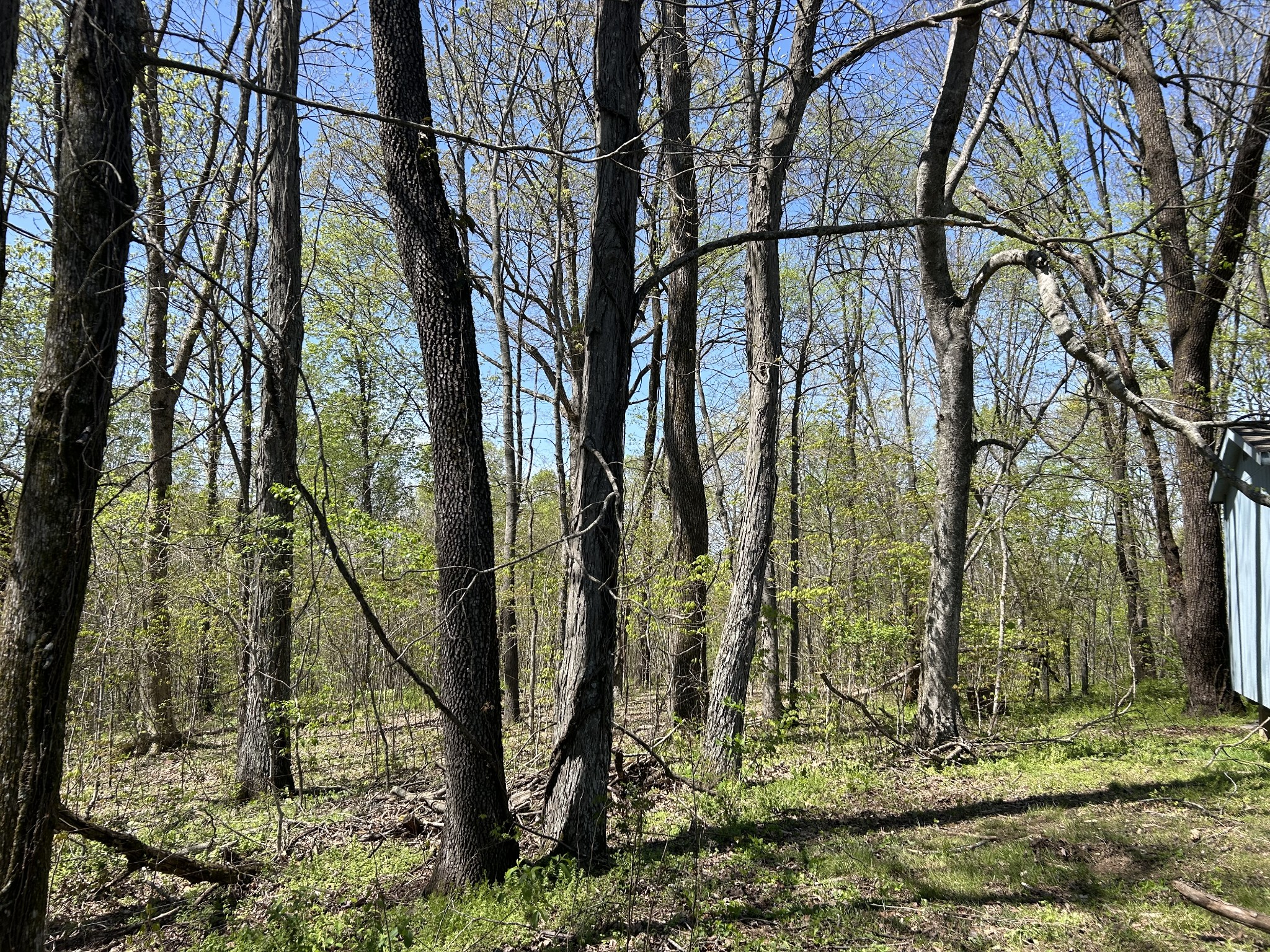 356 Munro Road Pulaski, TN 38478 - Photo 12 of 15