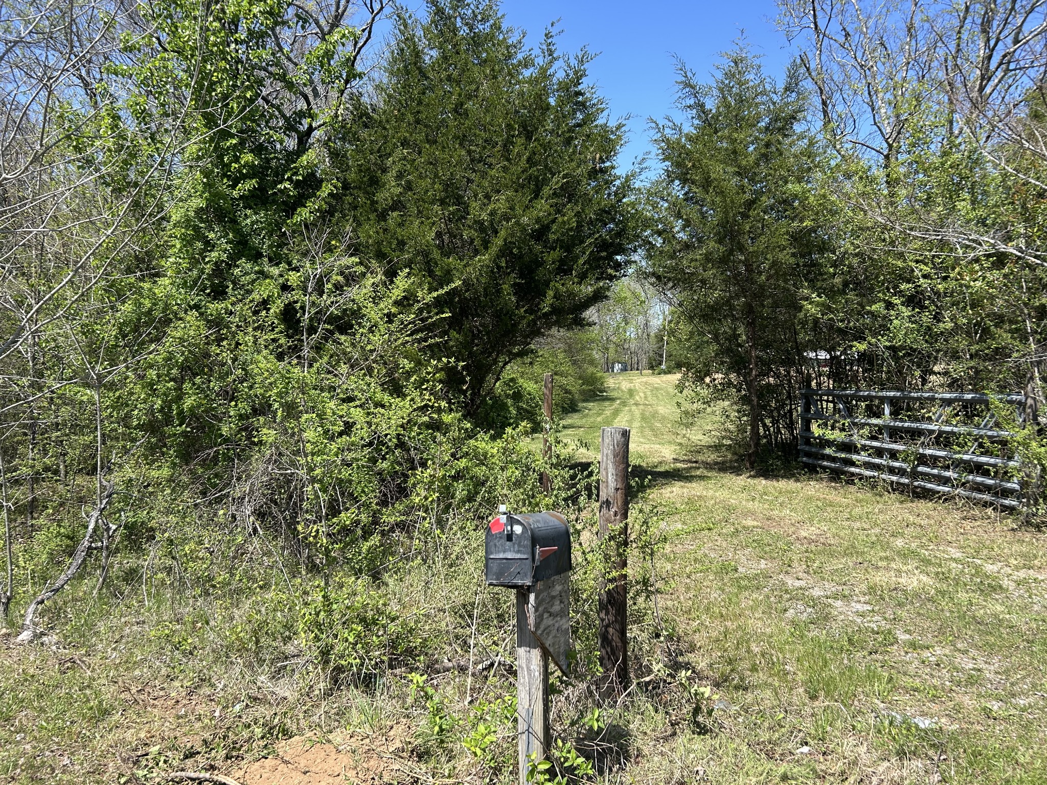 356 Munro Road Pulaski, TN 38478 - Photo 3 of 15