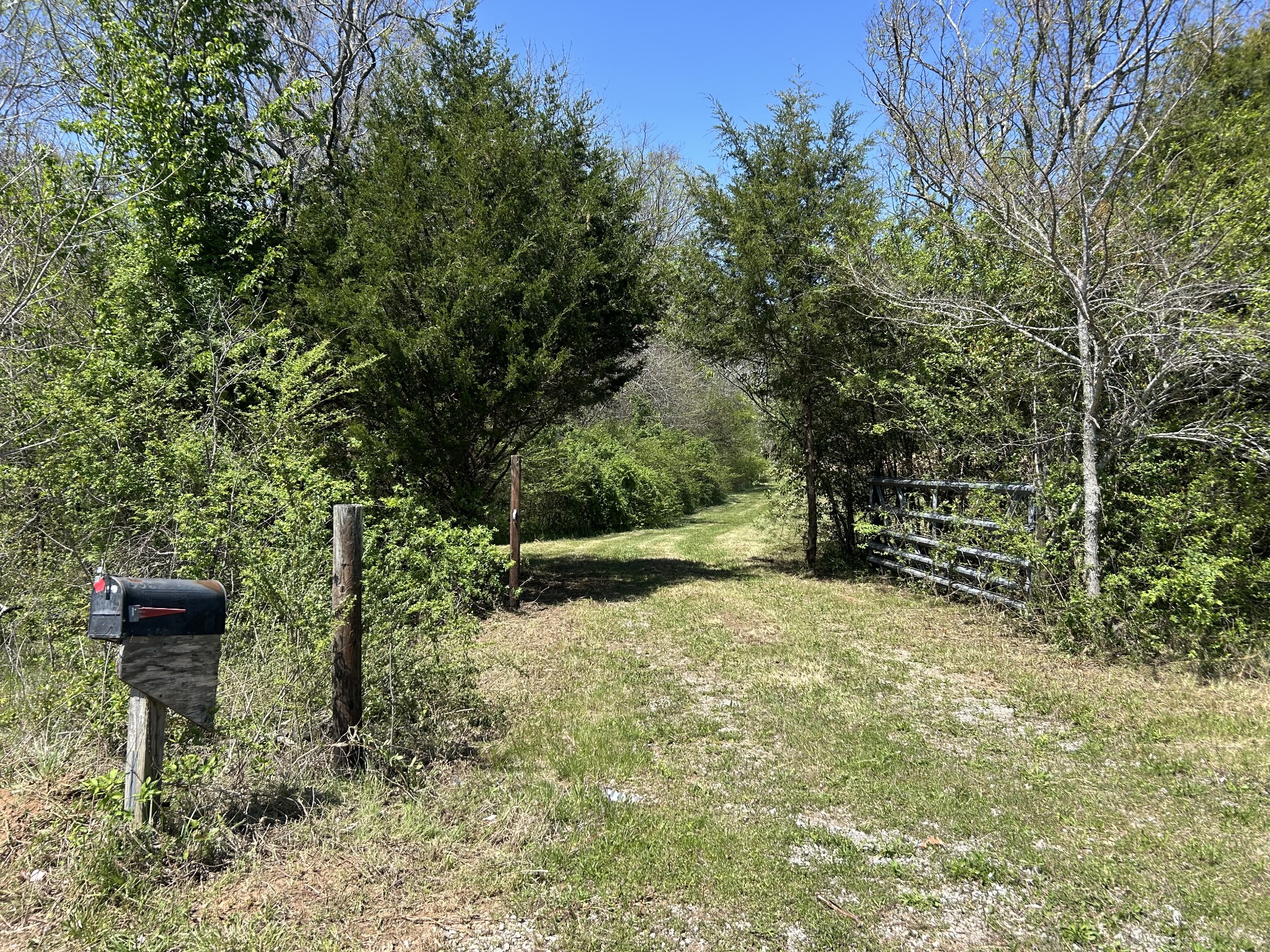 356 Munro Road Pulaski, TN 38478 - Photo 4 of 15