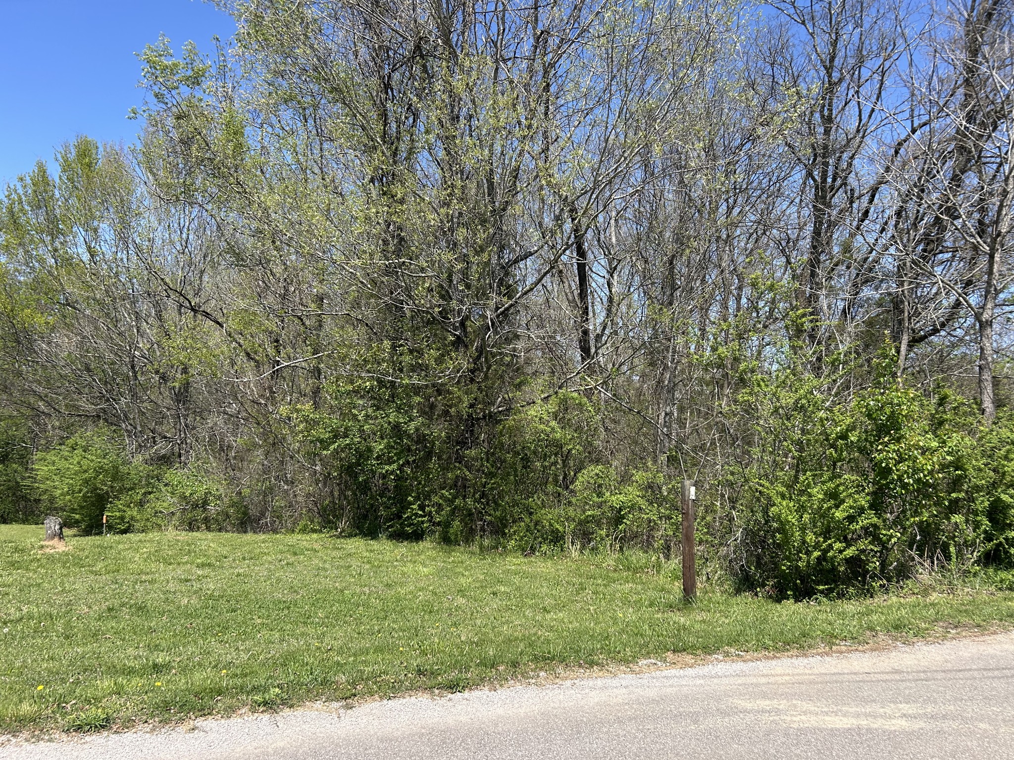 356 Munro Road Pulaski, TN 38478 - Photo 5 of 15