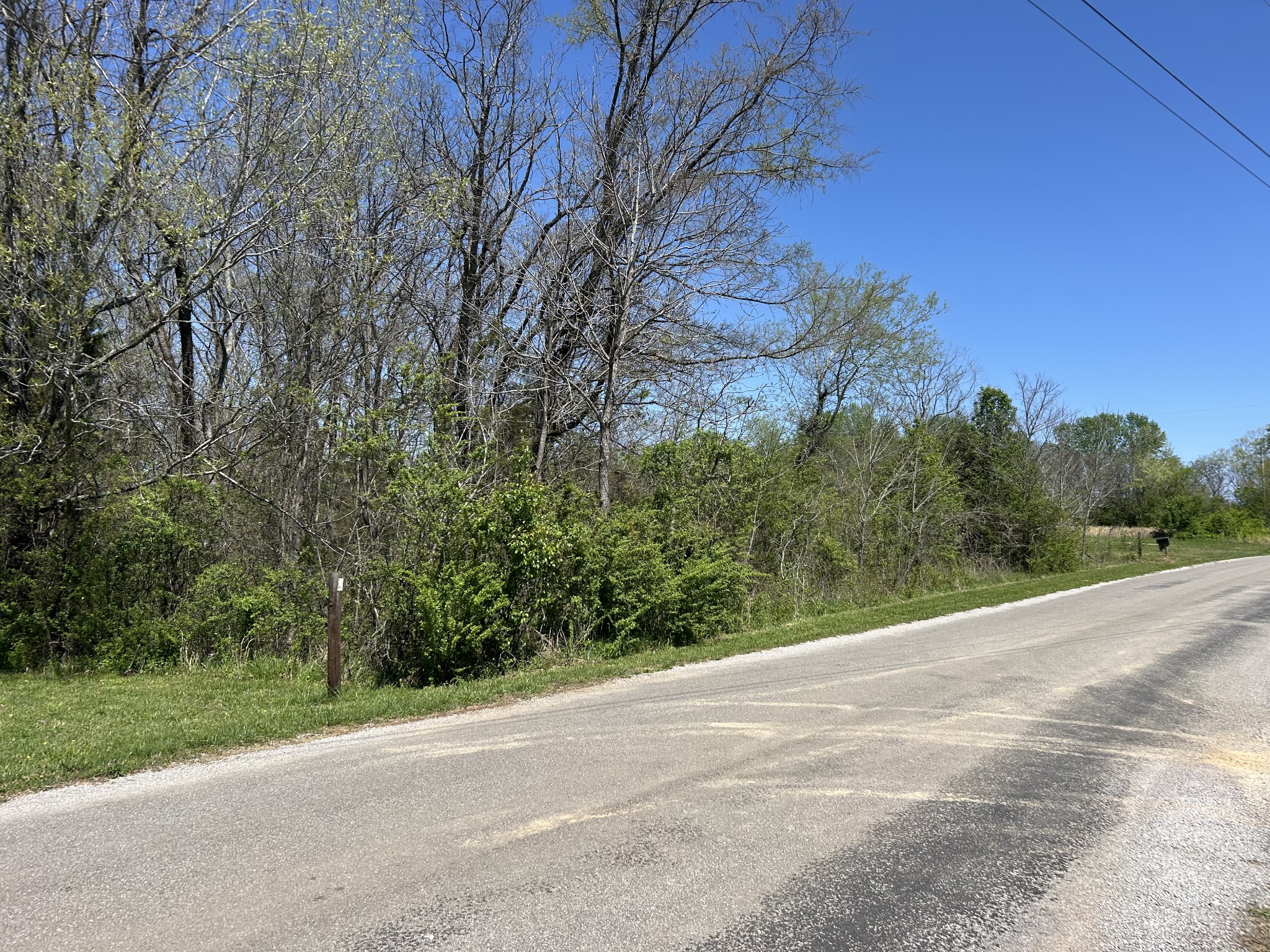 356 Munro Road Pulaski, TN 38478 - Photo 7 of 15