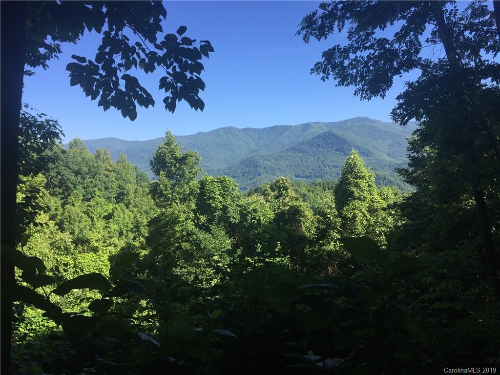 29 High Line Road, Unit 29 Sylva, NC 28779 - Photo 1 of 1 a view of a tree in a yard