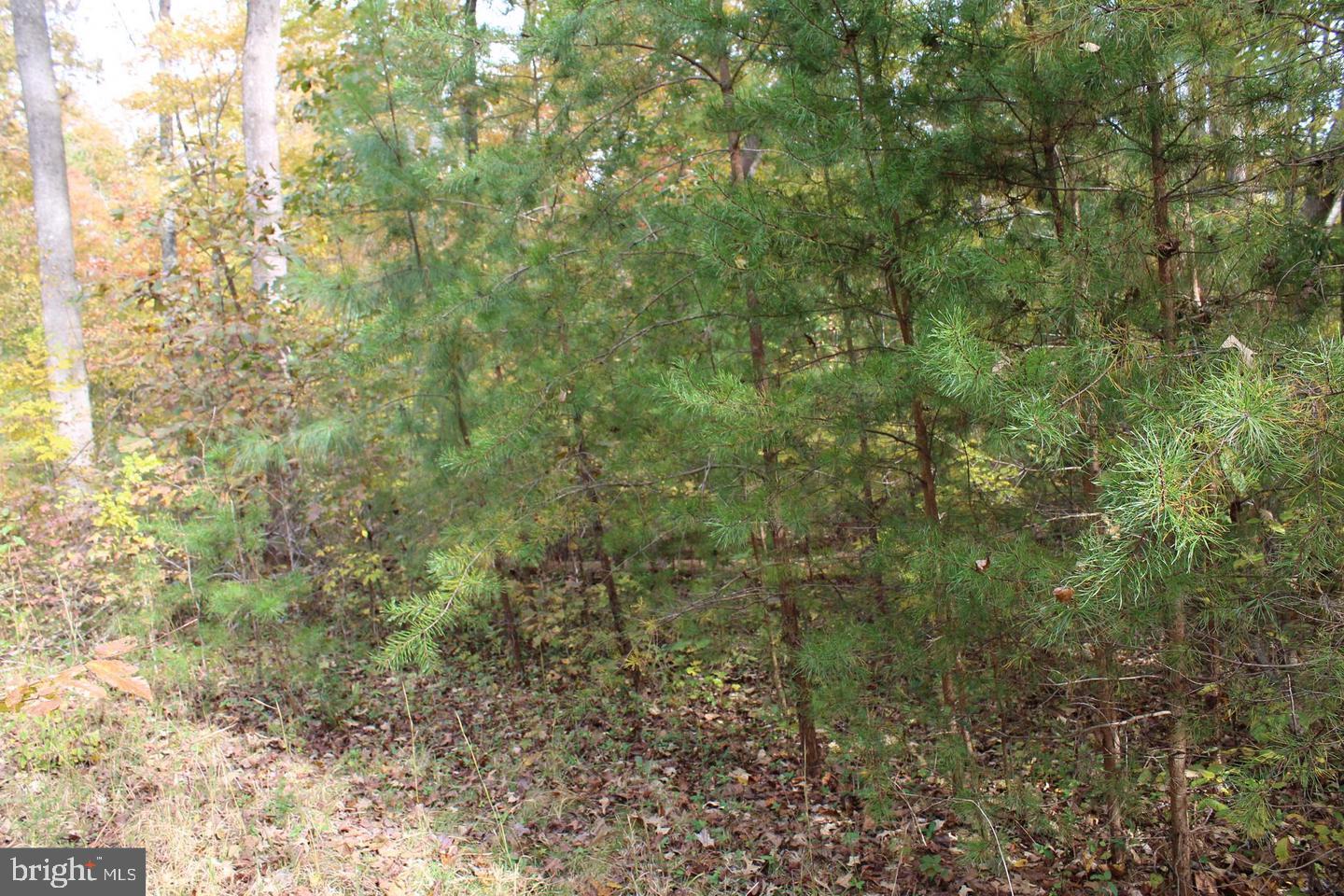 Prosperity Way King George, VA 22485 - Photo 2 of 5