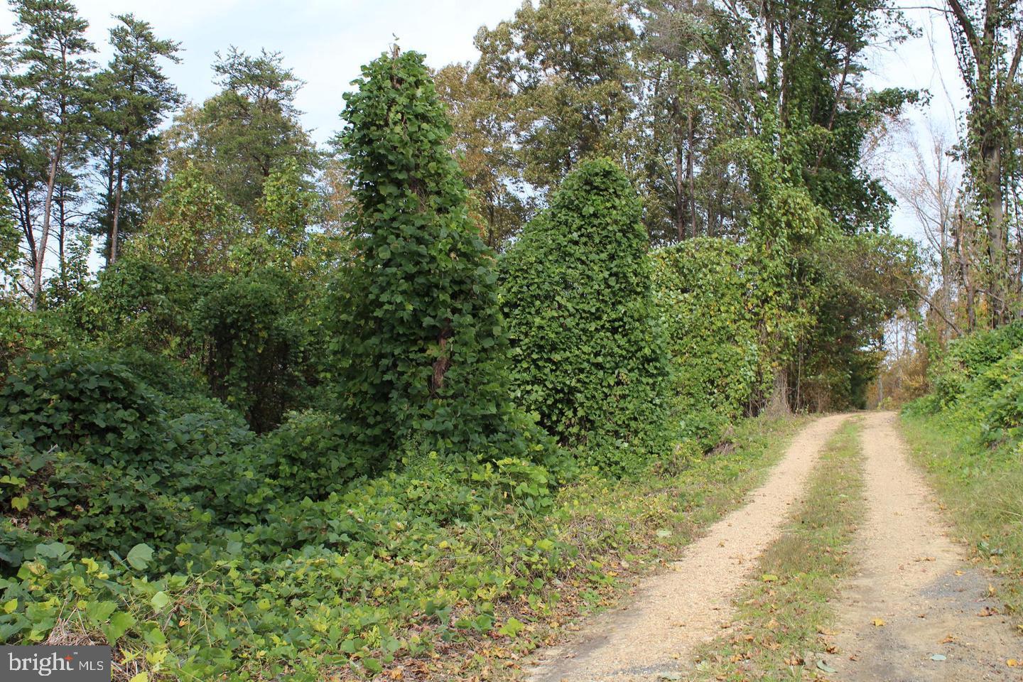 Prosperity Way King George, VA 22485 - Photo 3 of 5