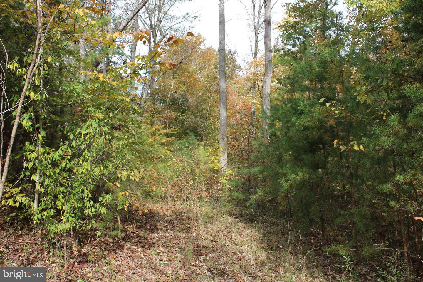 Prosperity Way King George, VA 22485 - Photo 4 of 5