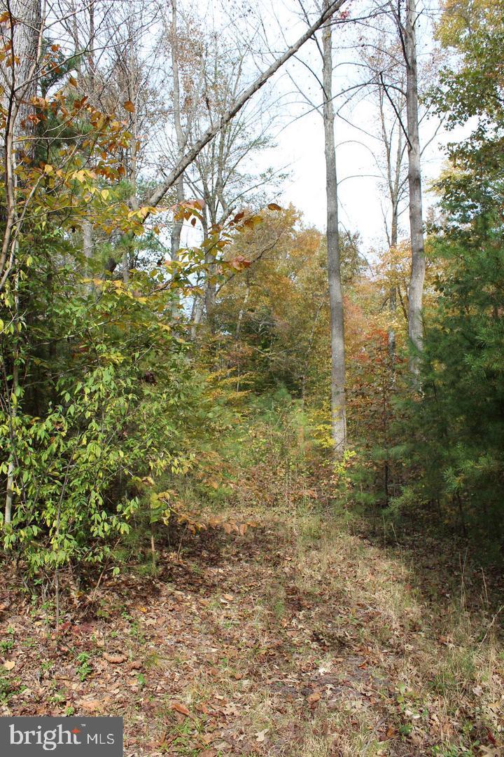 Prosperity Way King George, VA 22485 - Photo 5 of 5