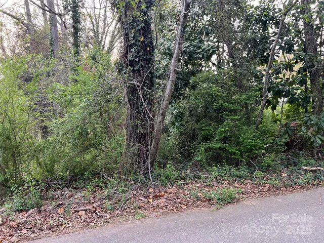 a view of a forest with trees