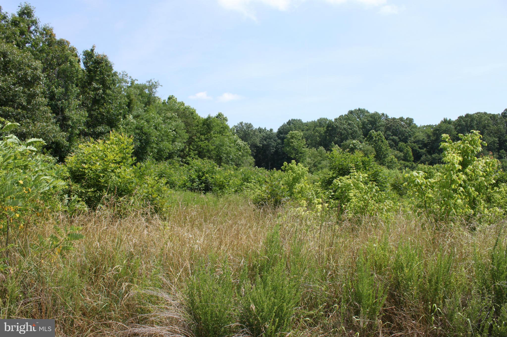 Queen Anne Road Davidsonville, MD 21035 - Photo 5 of 7 Looking toward one sediment pond