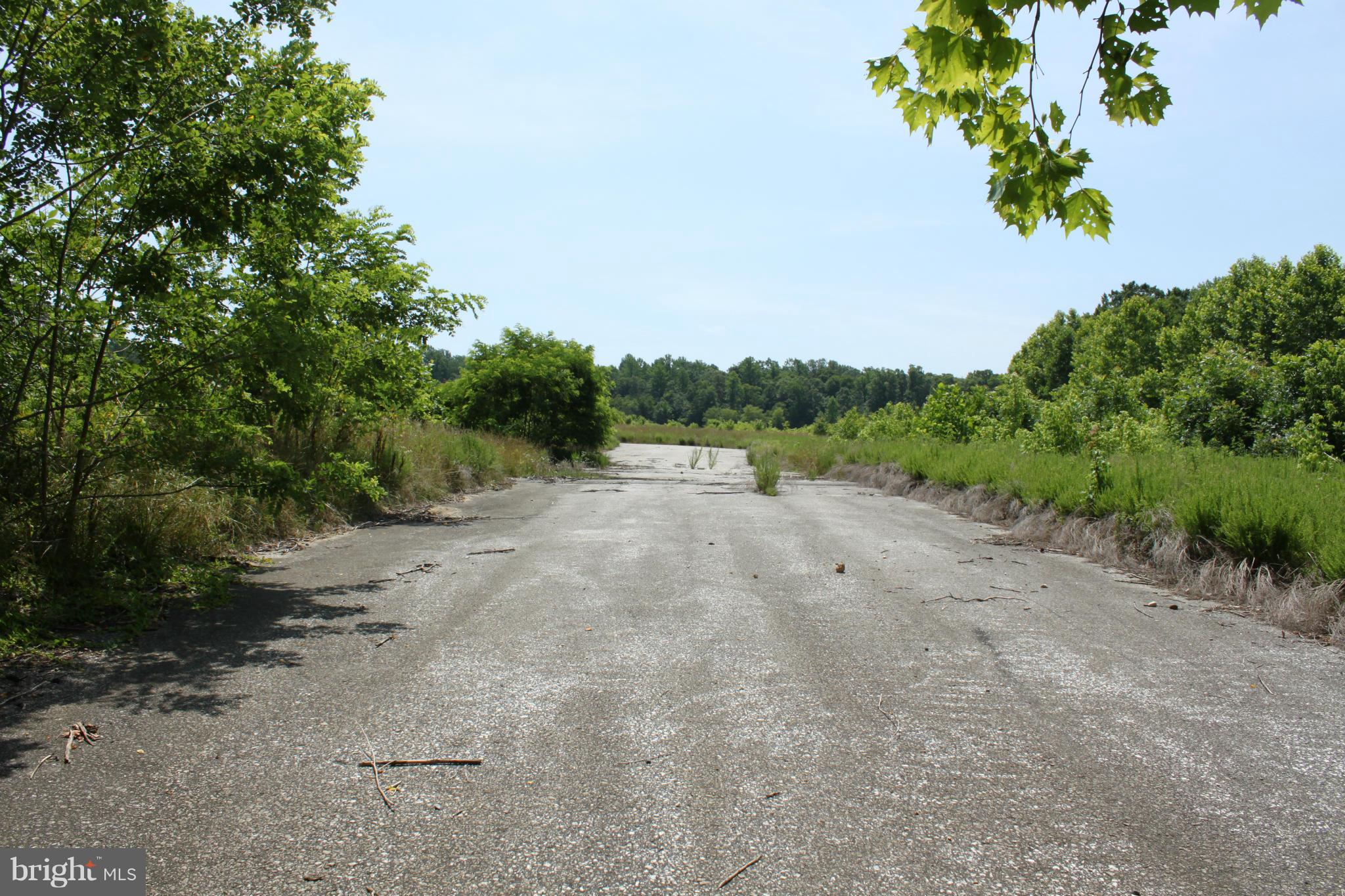 Queen Anne Road Davidsonville, MD 21035 - Photo 6 of 7 View from road looking toward back of property