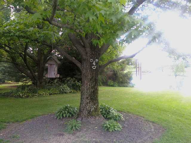 5472 Co 59 Rd Mount Mount Gilead, OH 43338 - Photo 2 of 2