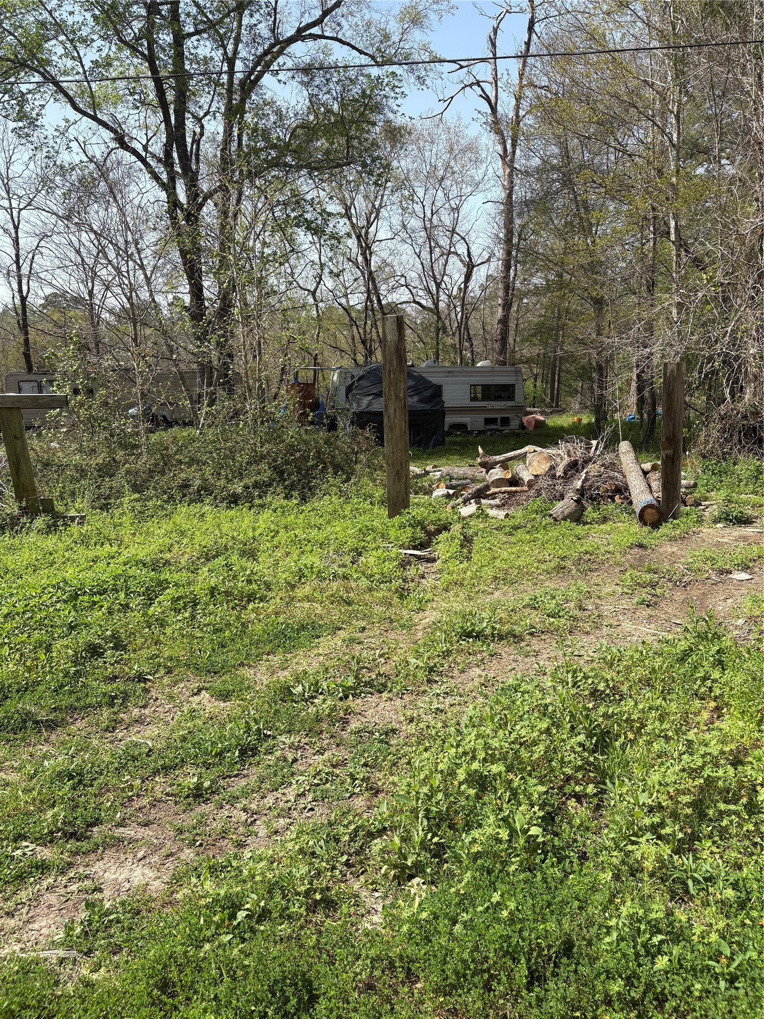 11775 Carpenter Road Beaumont, TX 77713 - Photo 2 of 4 a view of a yard with large trees